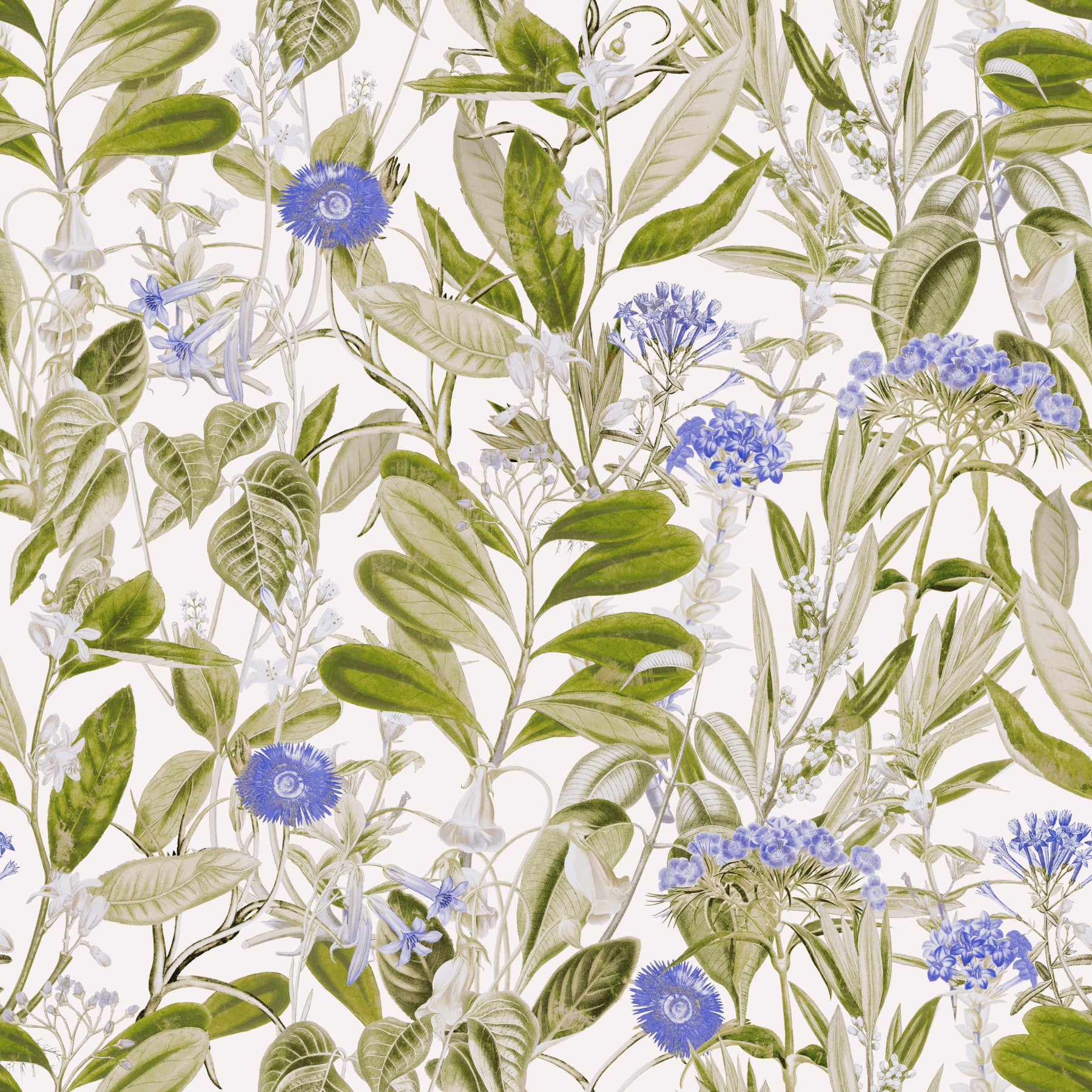 Serene Meadow Blue Floral Study Wallpaper⁠