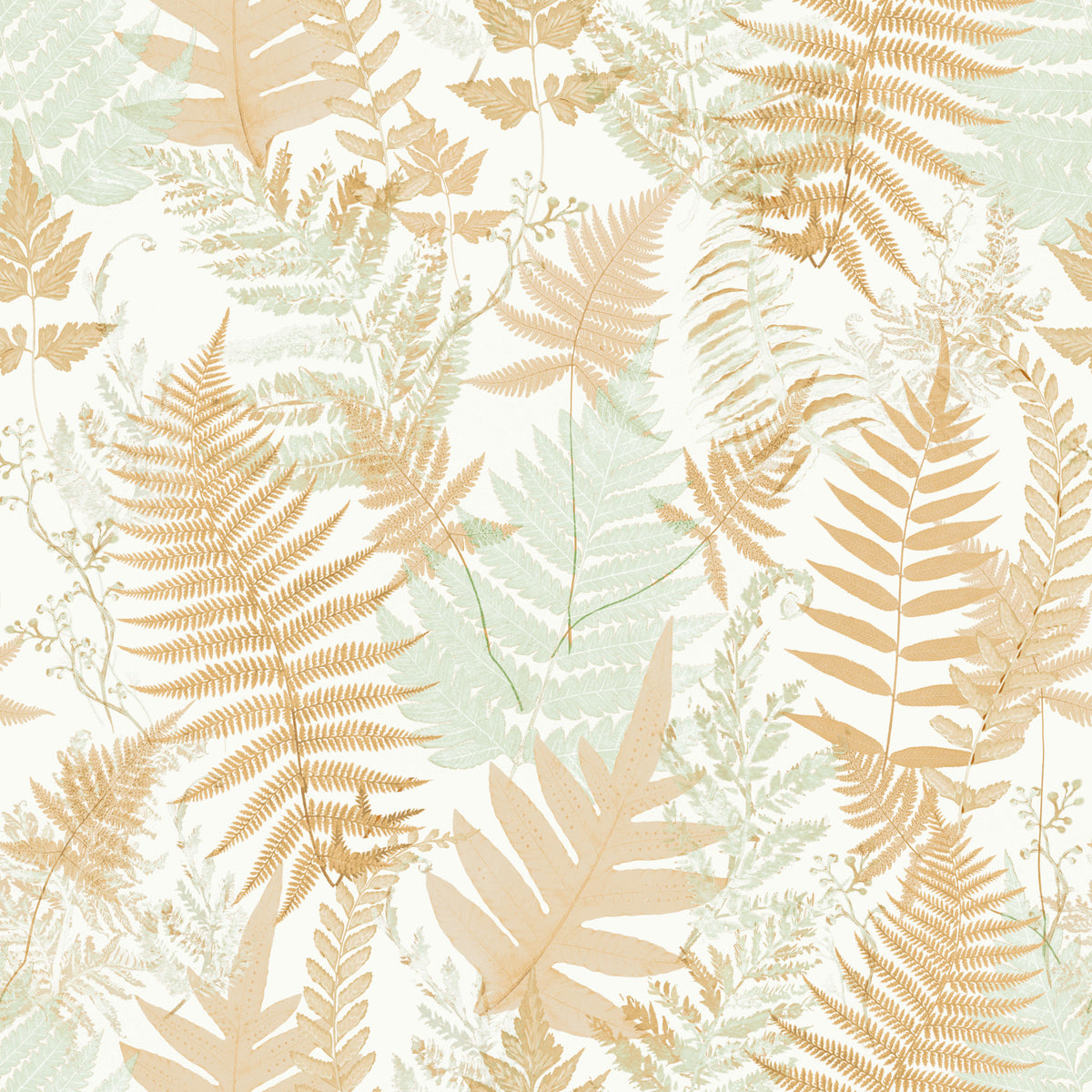 Sun-Drenched Woodland Ferns Wallpaper⁠ in your room — zoomed
