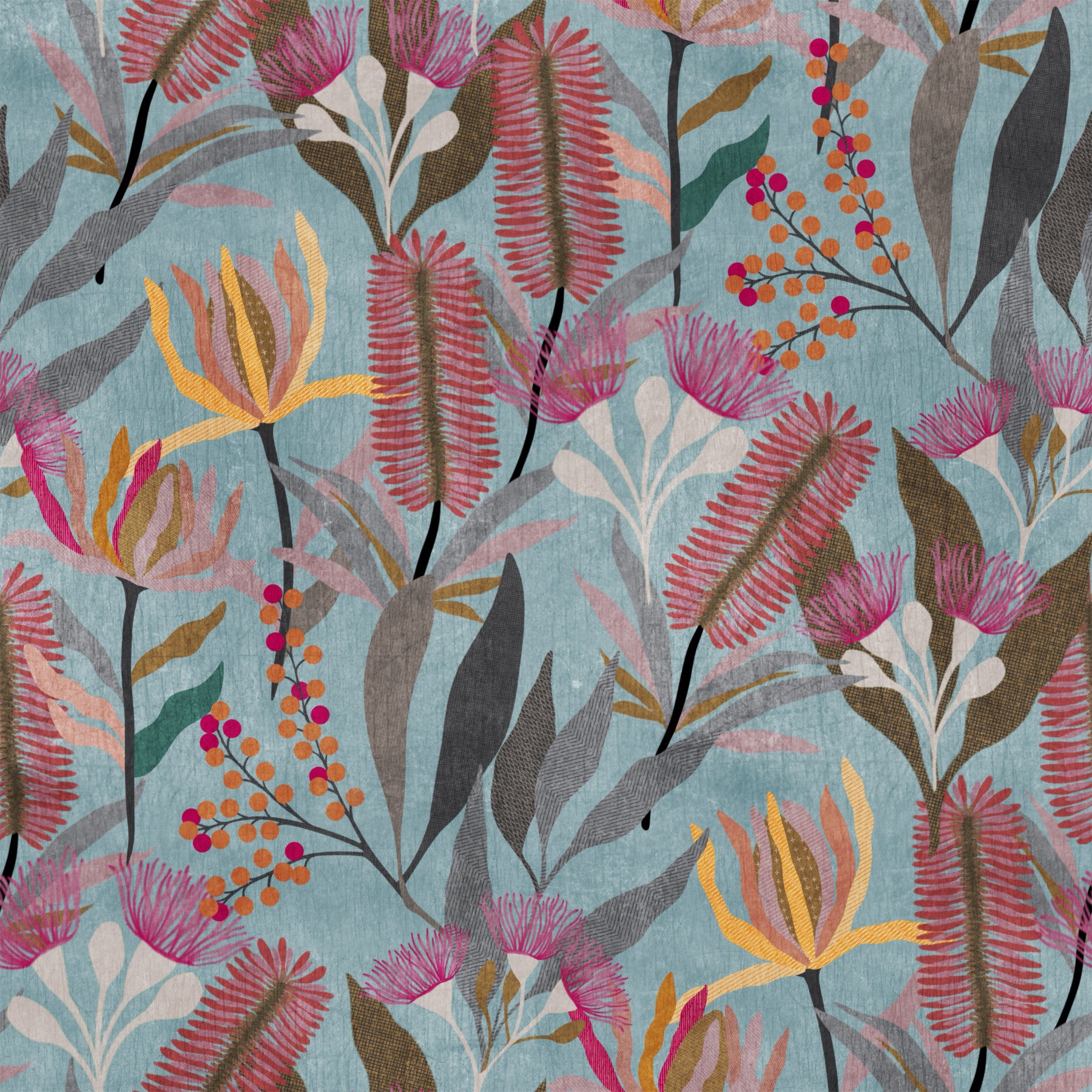Australian Wildflower Meadow Blue Wallpaper⁠