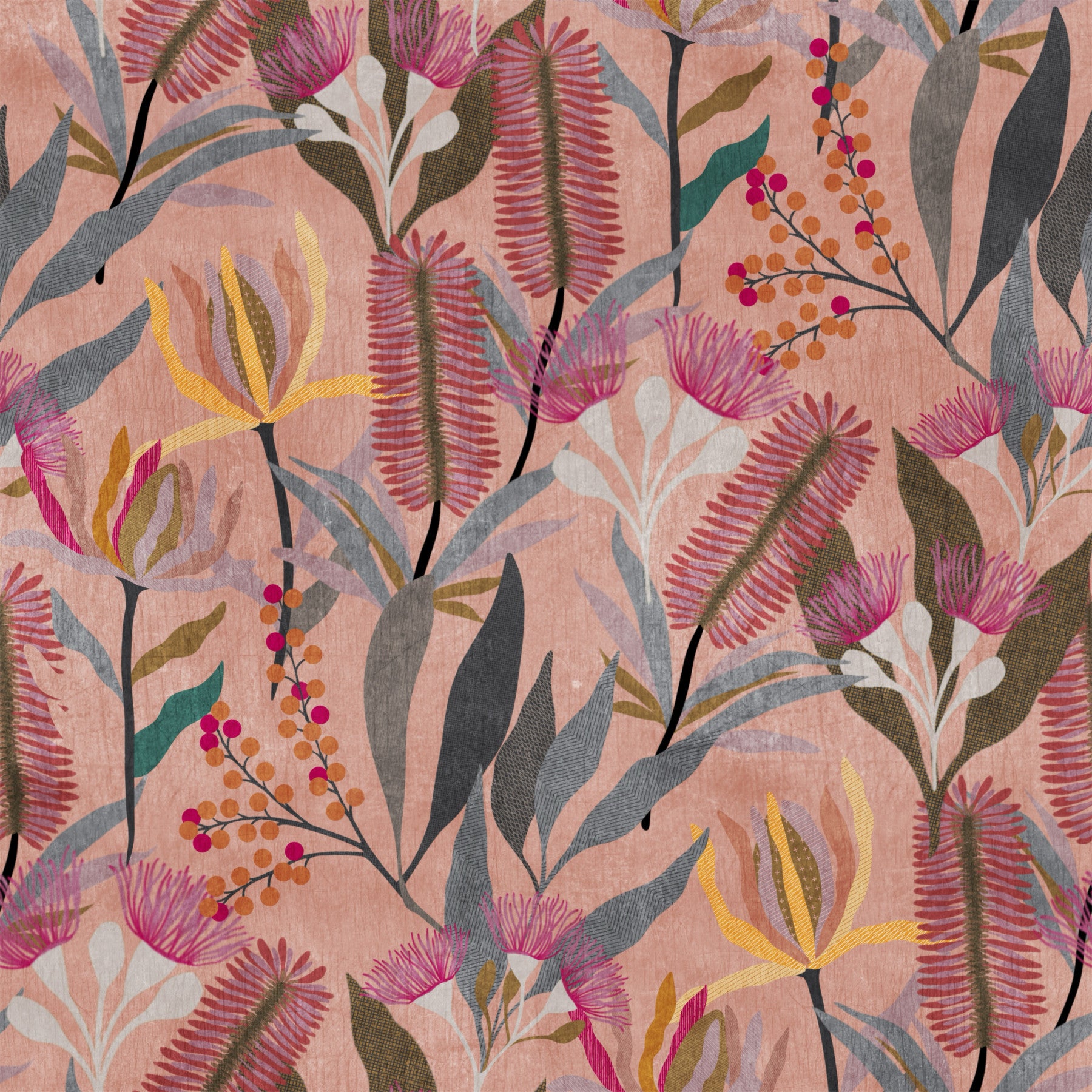 Australian Native Bloom Botanical Wallpaper⁠