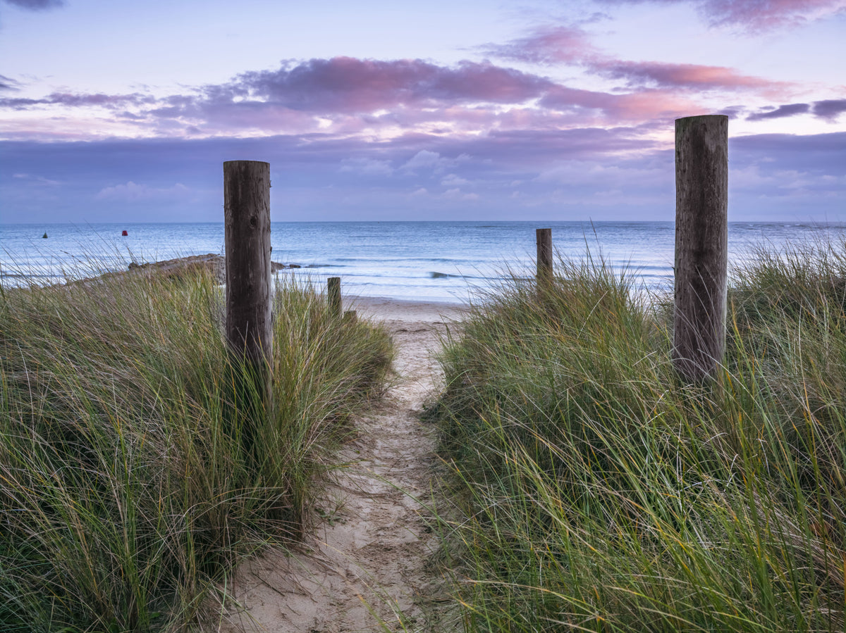 Coastal Grasses and Seascape Wall Mural in your room