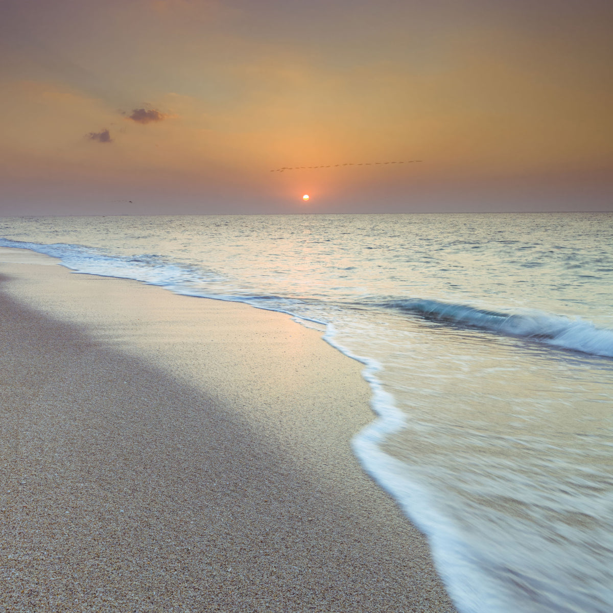 Golden Hour Coastal Hour Wall Mural in your room