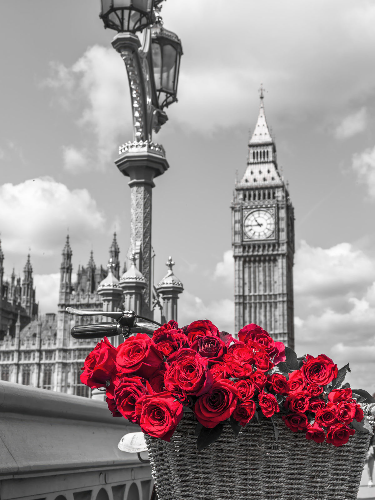 Crimson Blooms in Central London Wall Mural in your room