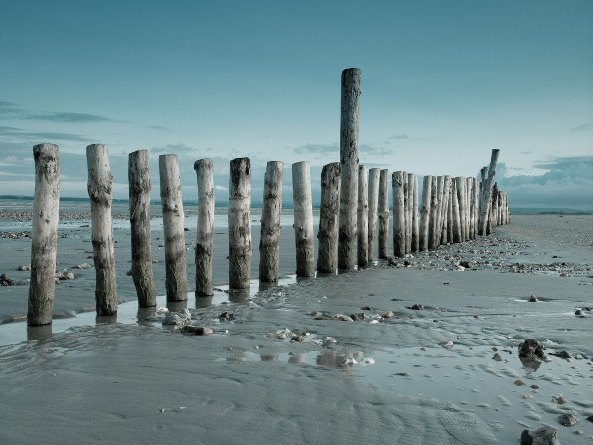 Minimalist Maritime Beach Scenery Wall Mural in your room — zoomed