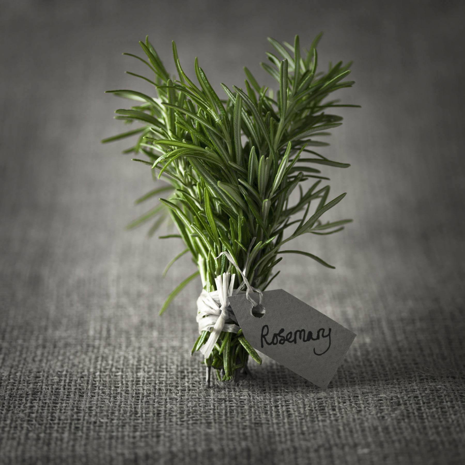 Rustic Herb Bundle Still Life Wall Mural