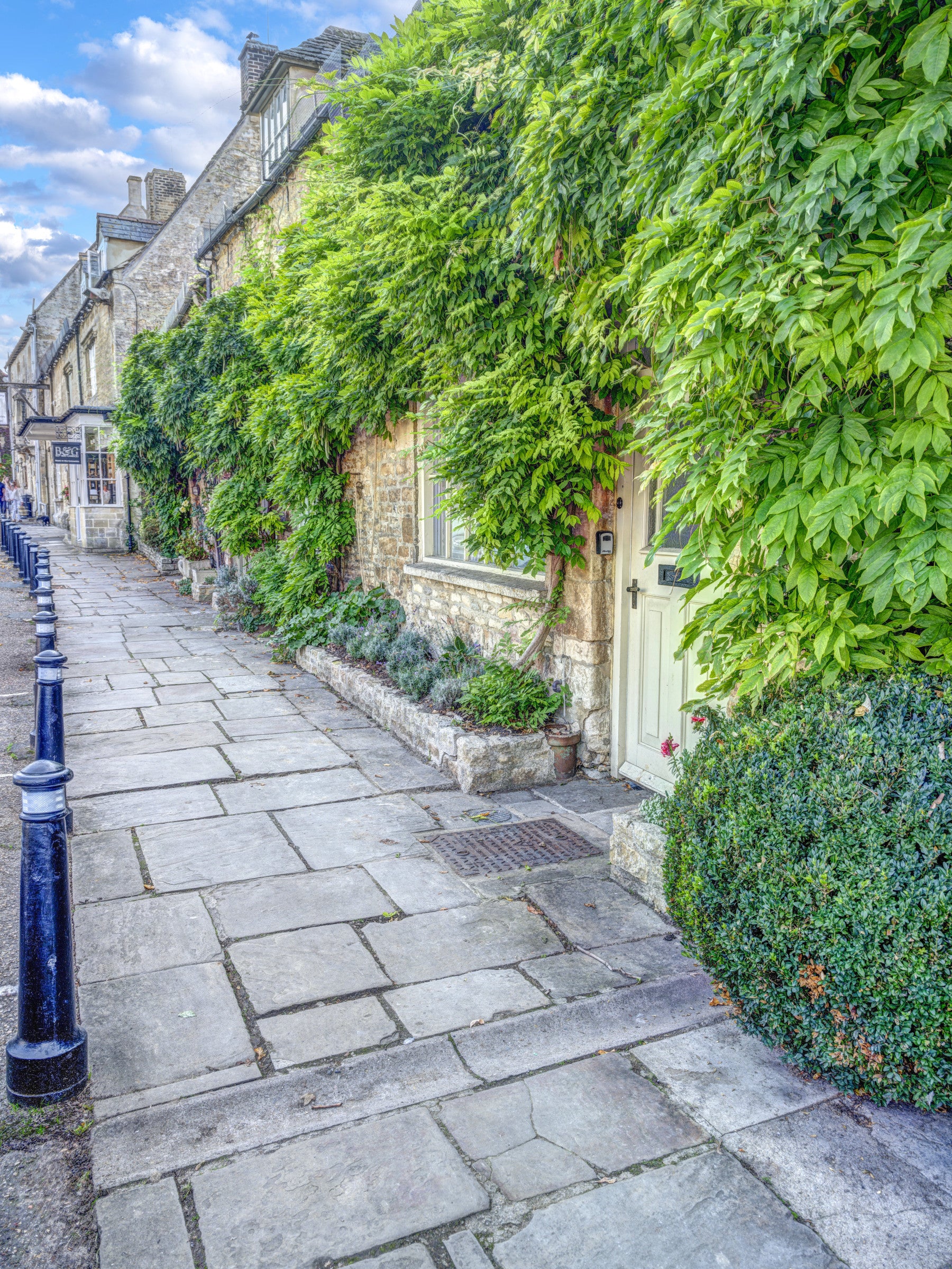 Rustic Stone Path and Climbing Ivy Wall Mural