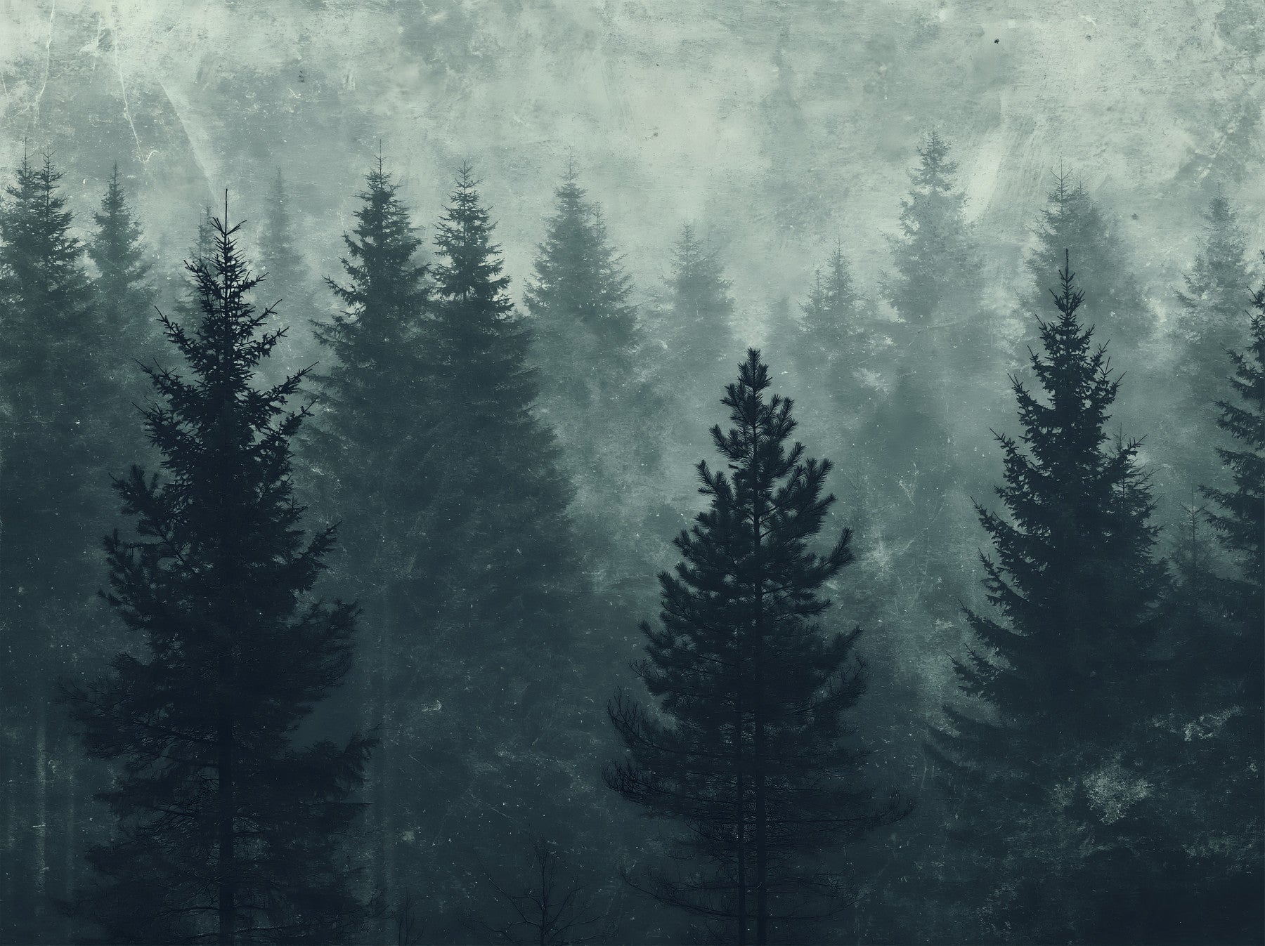 Misty Pine Forest Silhouette Wall Mural