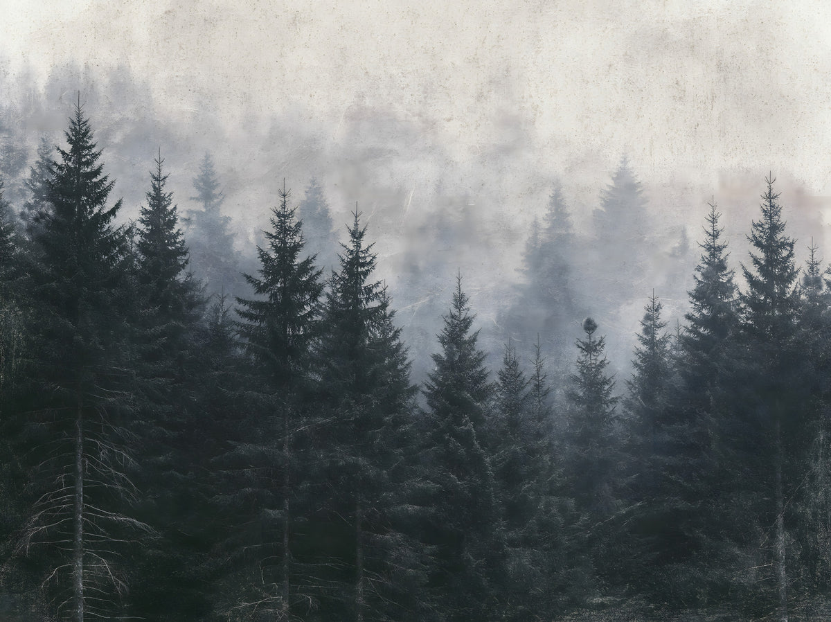 Atmospheric Evergreen Woodland Wall Mural in your room