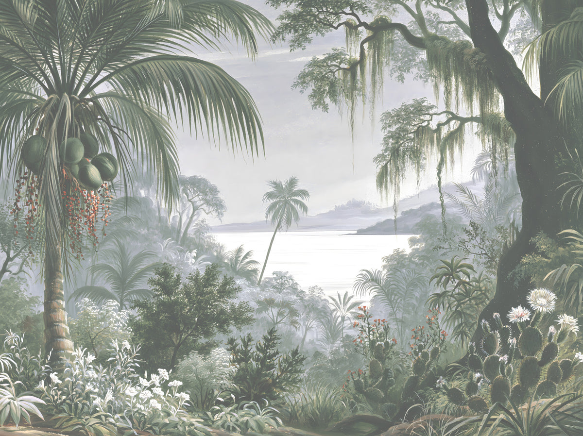 Enchanted Lush Jungle Horizon Wall Mural in your room