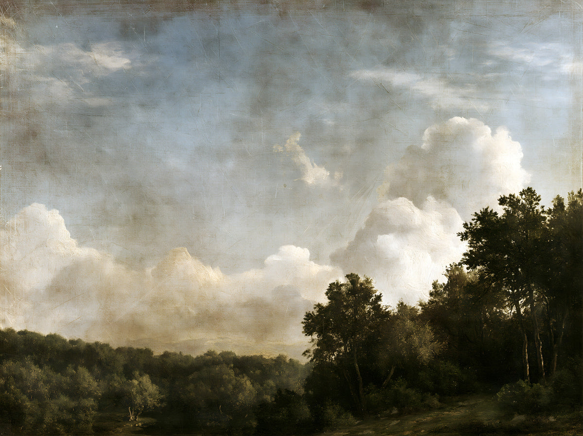 Moody Impressionist Horizon Vista Wall Mural in your room — zoomed