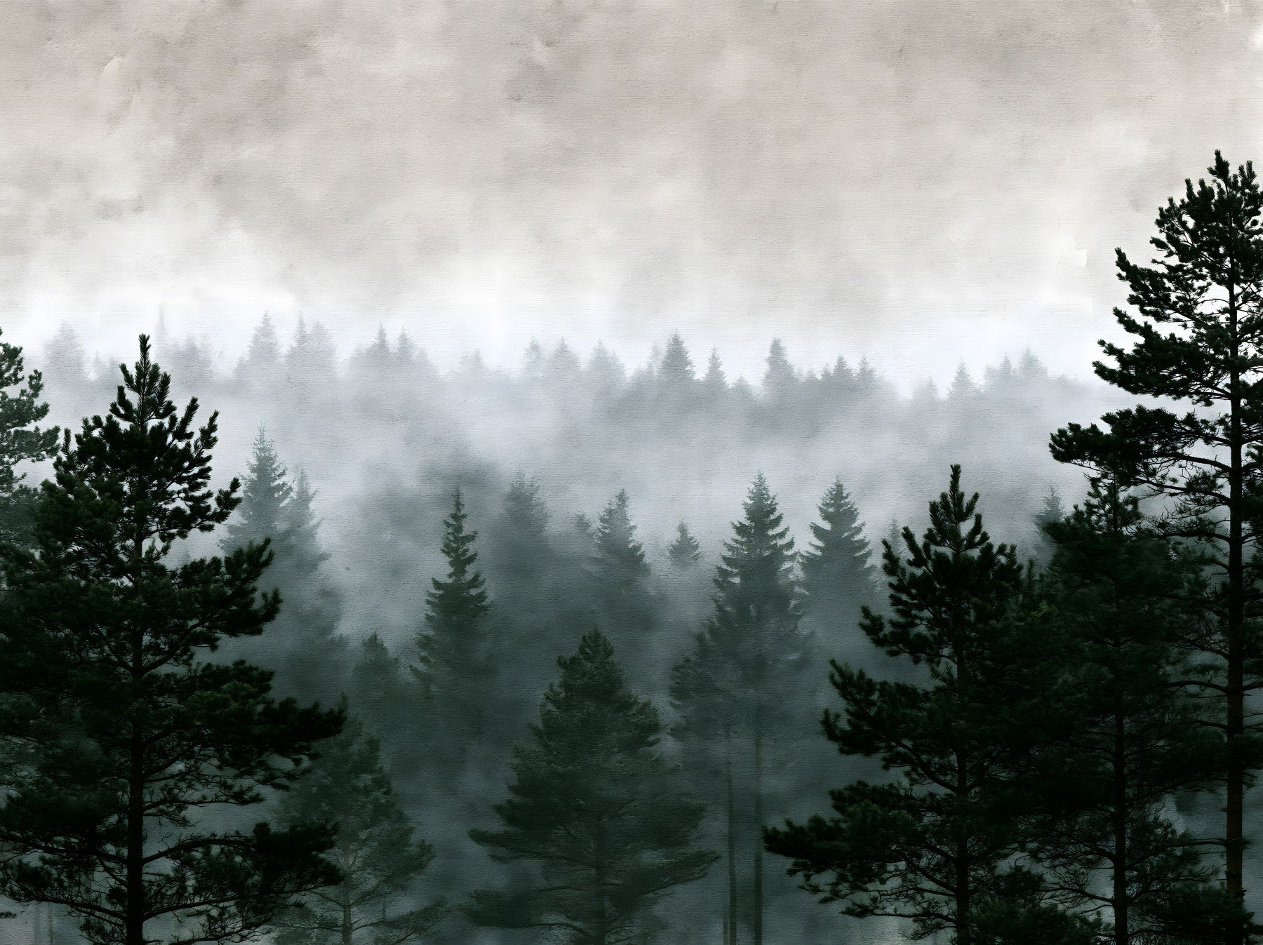 Shadowed Evergreen Woodland Wall Mural