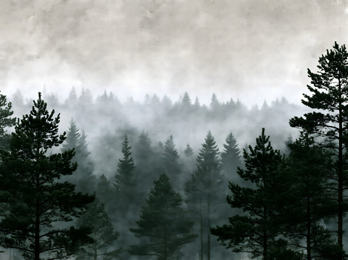 Shadowed Evergreen Woodland Wall Mural in your room