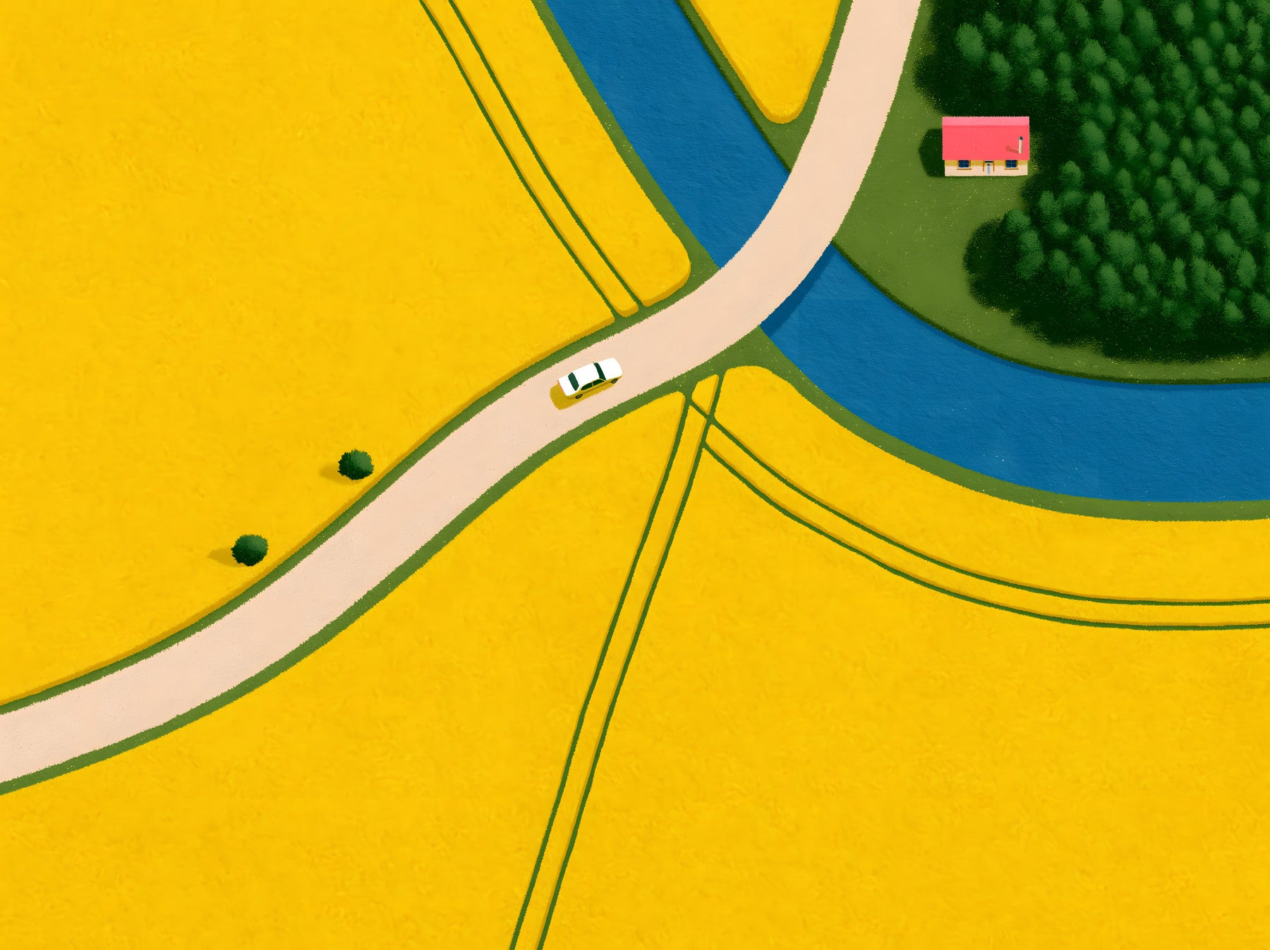 Country Road Through Golden Fields Wall Mural