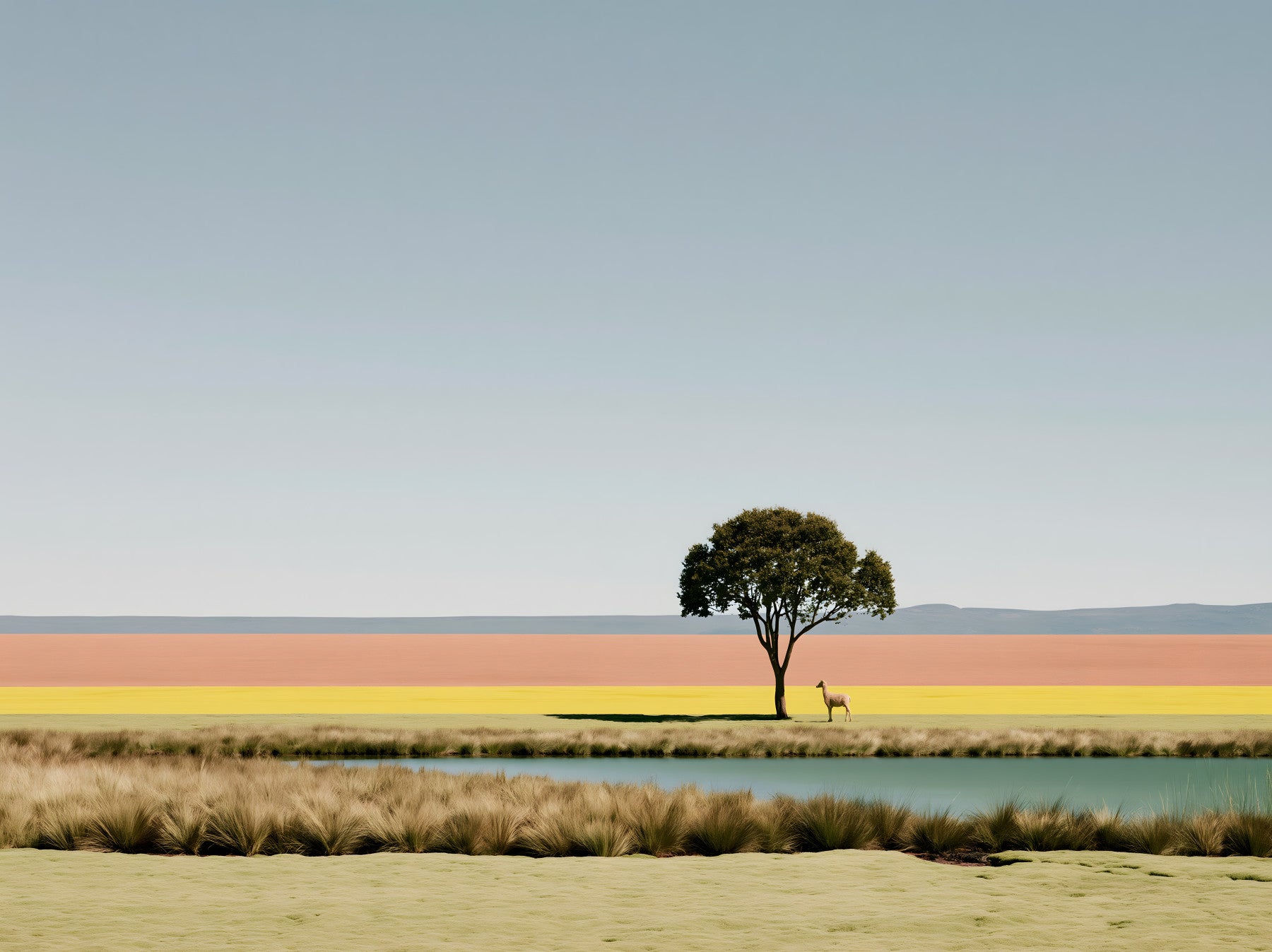 Minimalist Desert Oasis Landscape Wall Mural