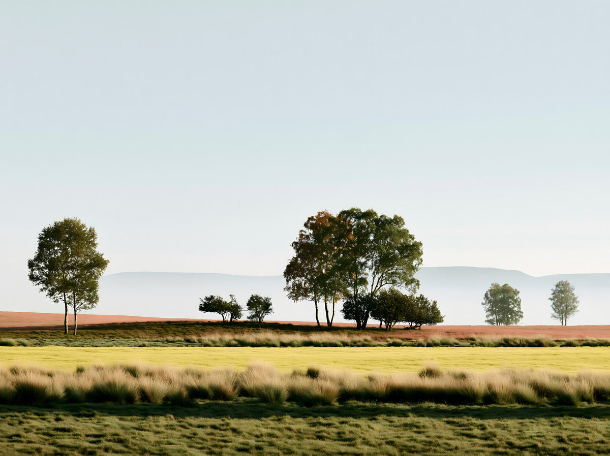 Misty Morning Horizon Landscape Wall Mural in your room