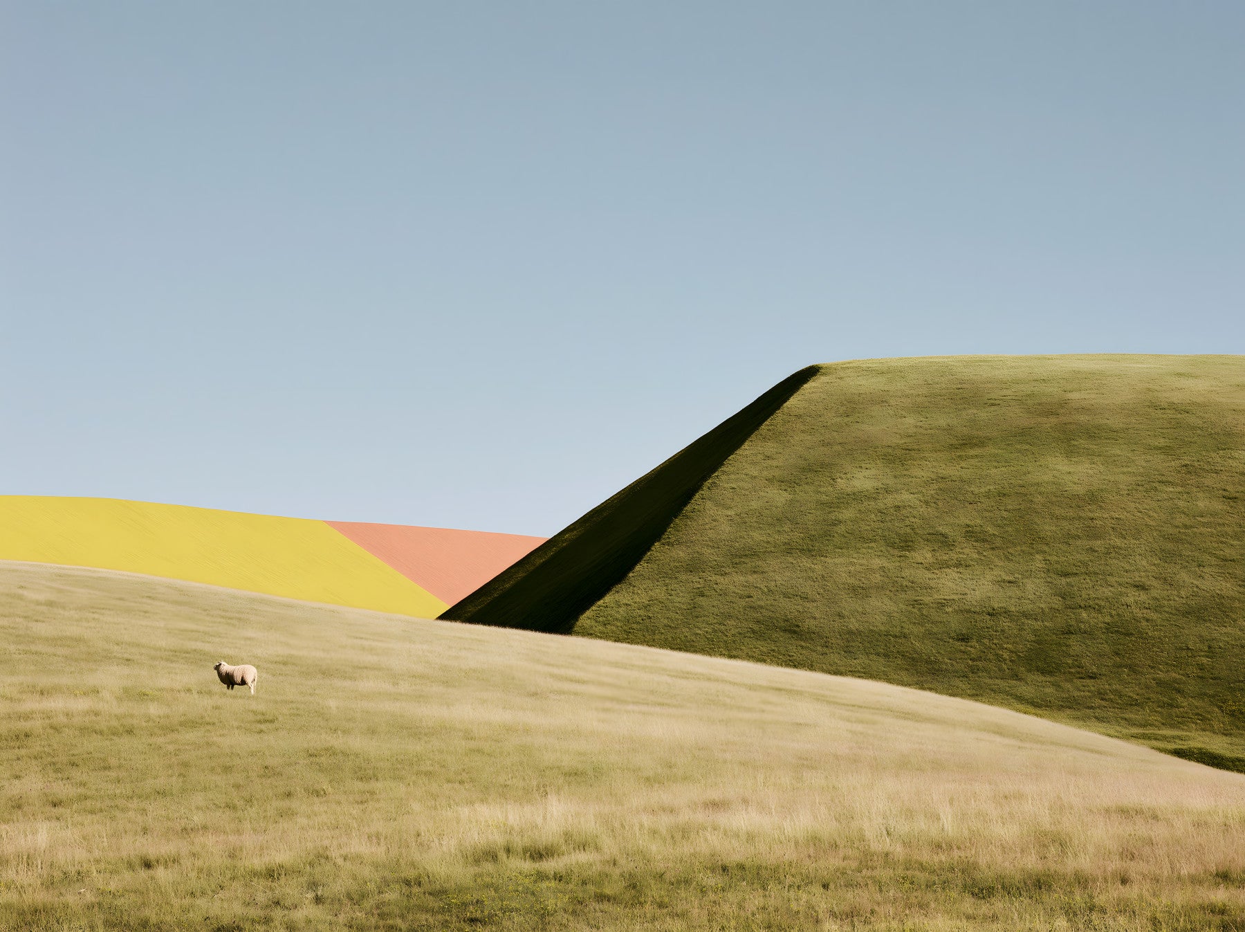 Abstract Geometric Meadow Wall Mural