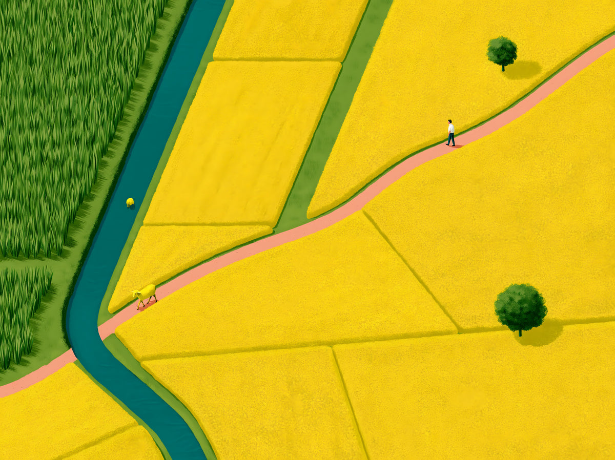 Golden Fields and Winding Stream Landscape Wall Mural in your room — zoomed