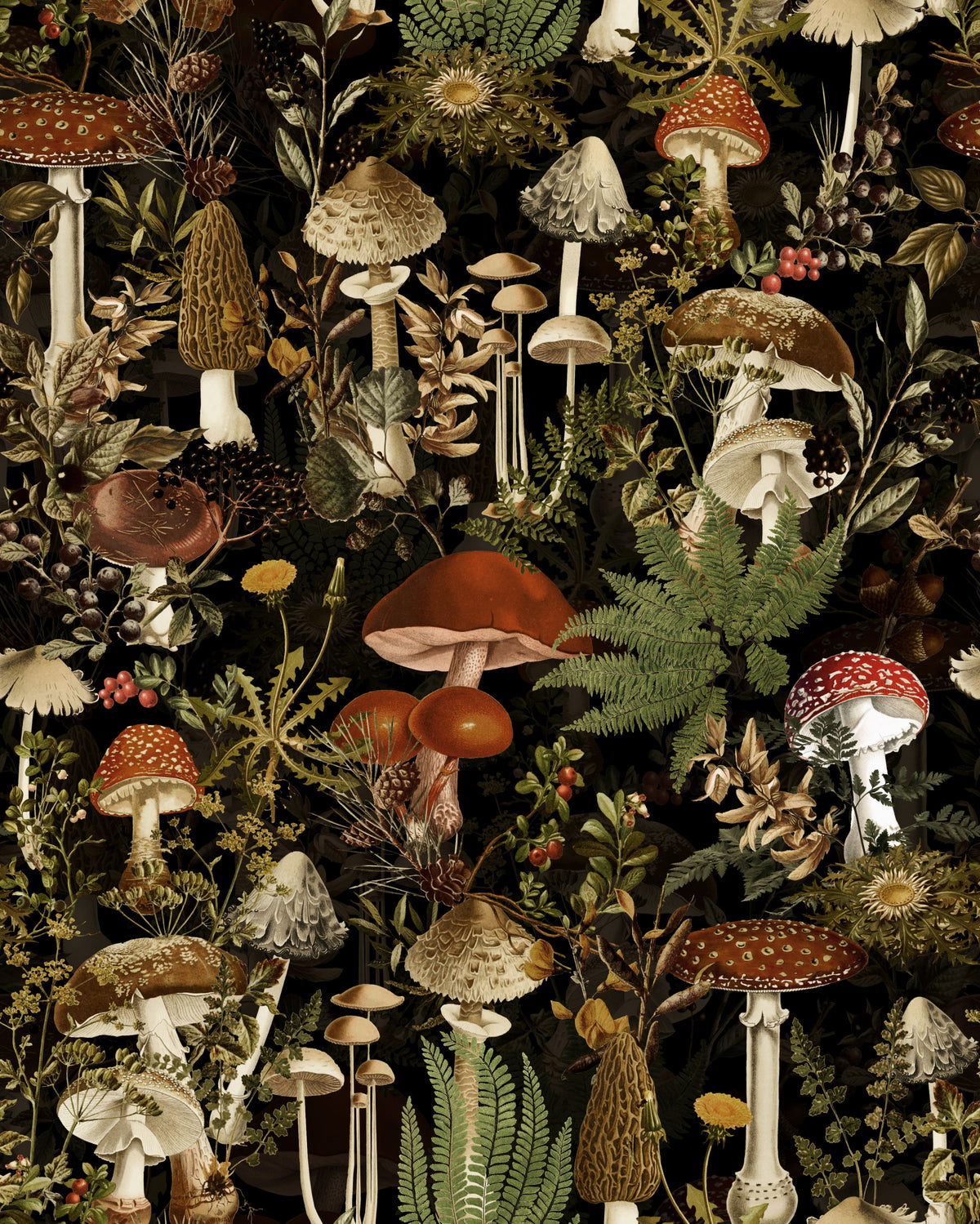 Midnight Forest Mushroom Botanical Wallpaper⁠ in your room