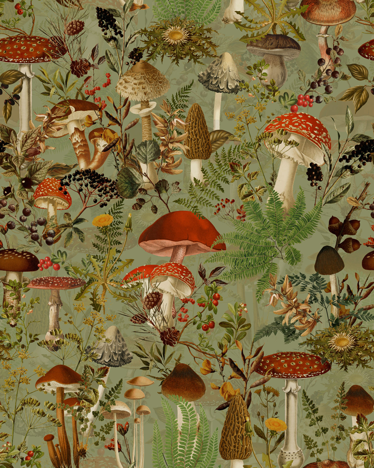 Vintage Woodland Mushroom and Fern Forage Wallpaper⁠ in your room
