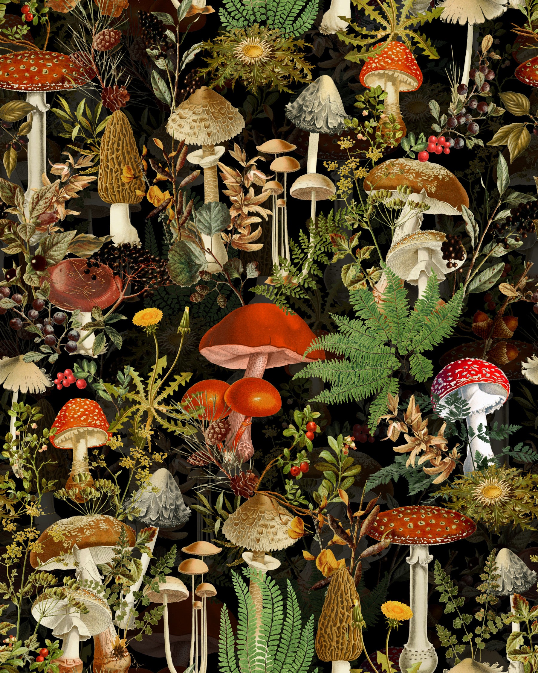 Vintage Woodland Mushroom Harvest Wallpaper⁠