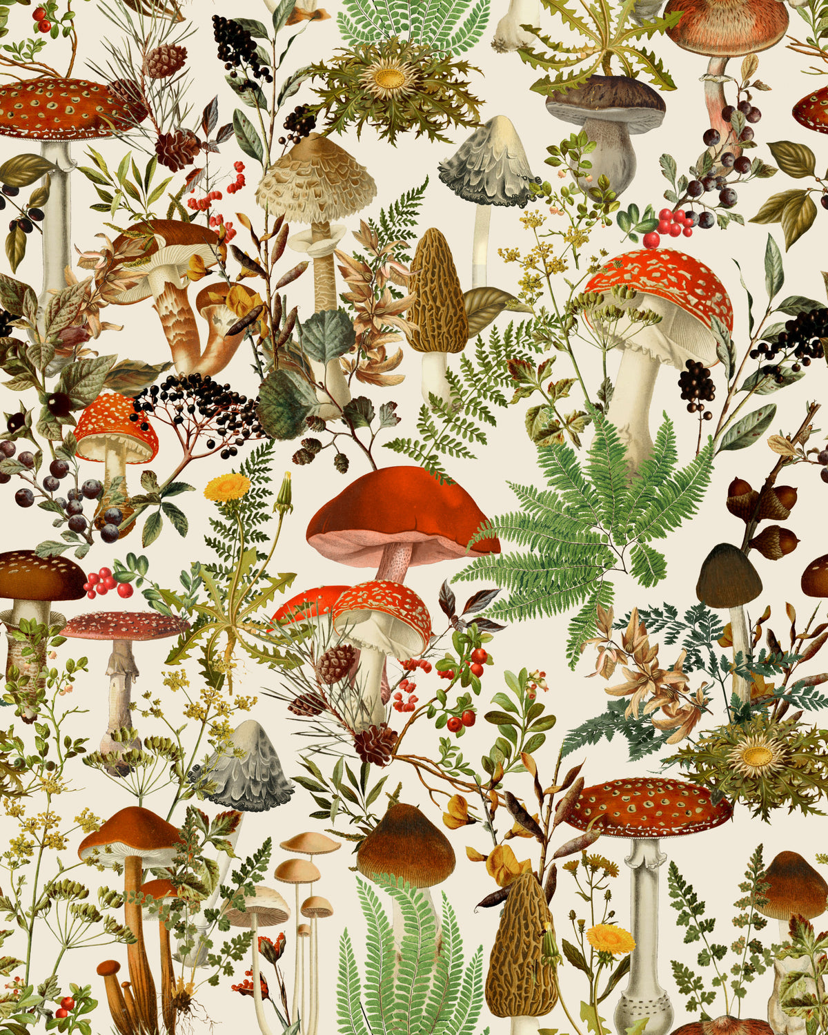 Rustic Toadstool and Woodland Meadow Flora Wallpaper⁠ in your room