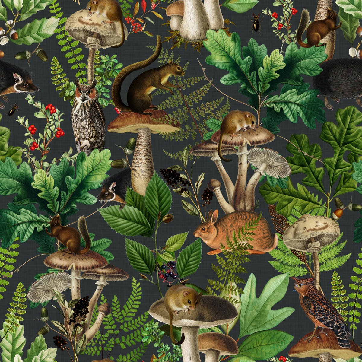 Vintage Forest Creatures and Fungi Wallpaper⁠ in your room — zoomed