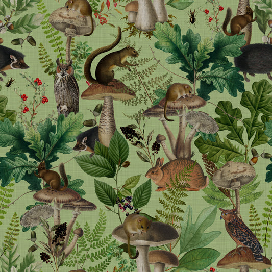 Botanical Woodland Mushroom Grove Wallpaper⁠