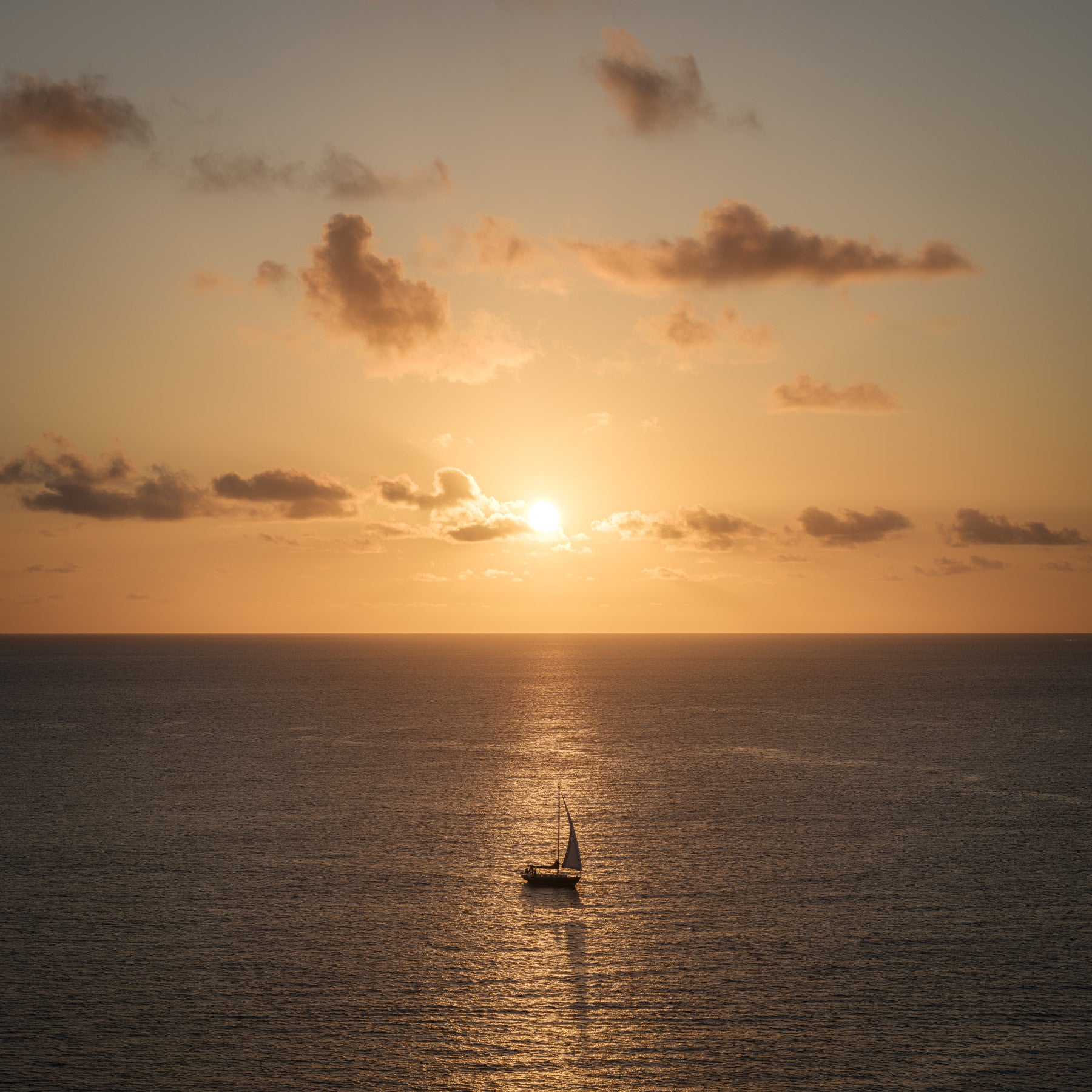 Amber Horizon Maritime View Wall Mural