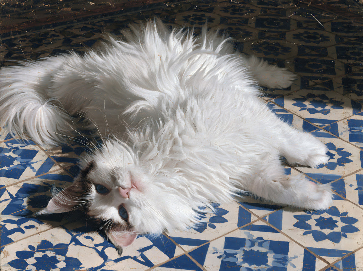 Resting Fluffy Cat on Mediterranean Tiles Wall Mural in your room — zoomed