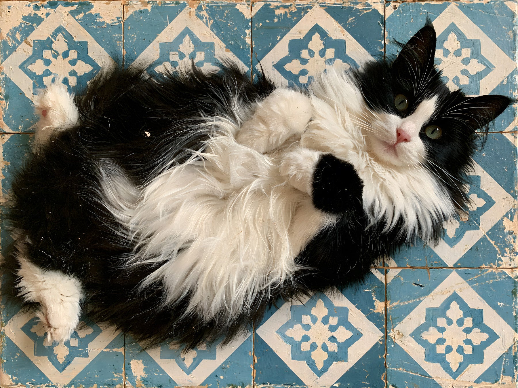 Rustic Blue Tiled Cat Portrait Wall Mural