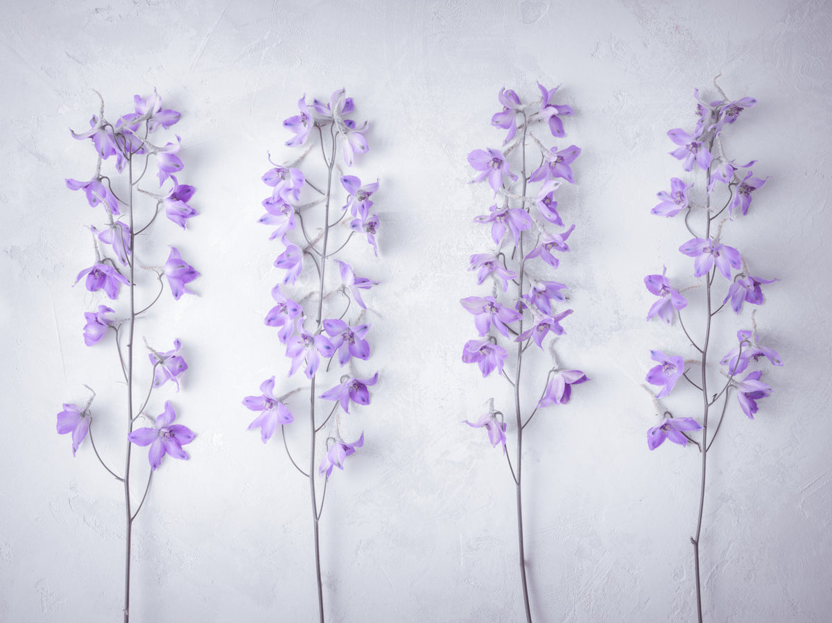 Abstract Lavender Floral Stems Wall Mural in your room