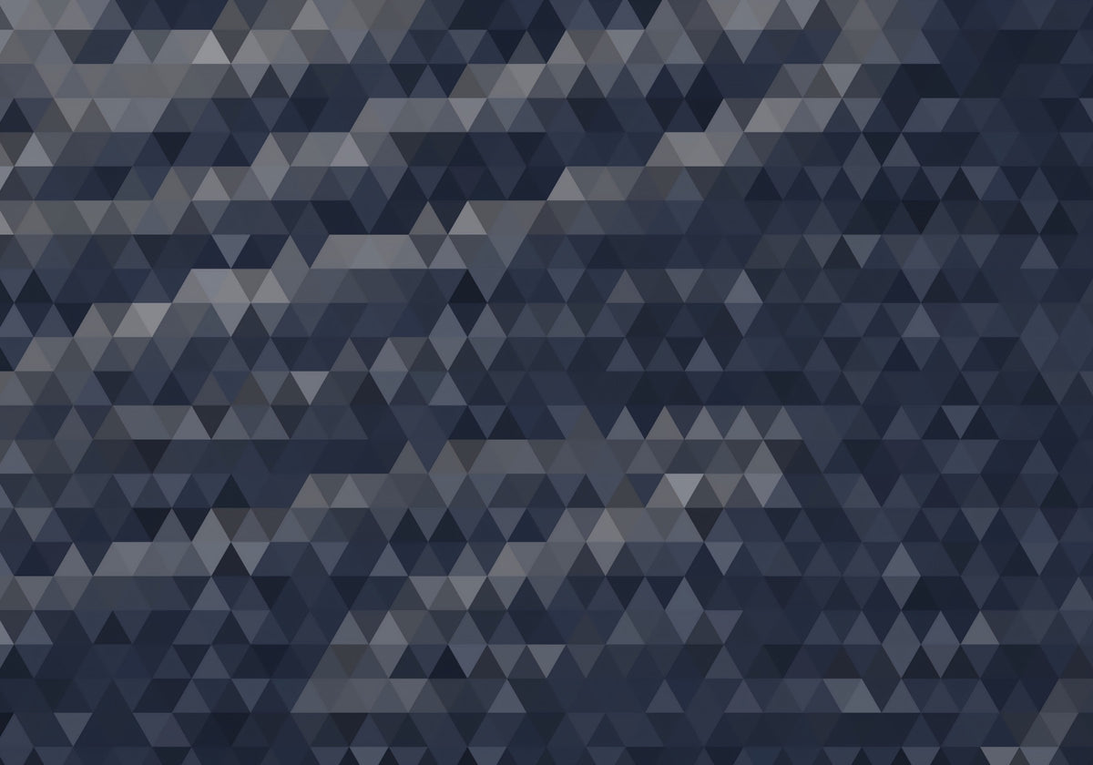 Slate Triangulated Abstract Texture Wall Mural