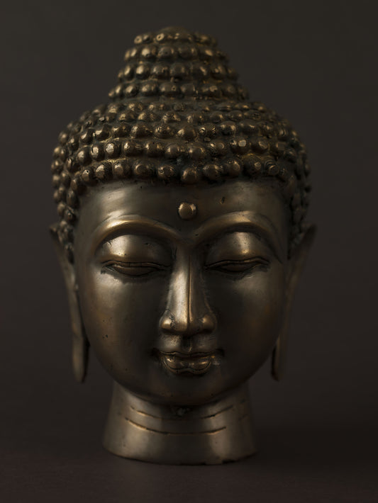 Minimalist Bronze Enlightenment Wall Mural