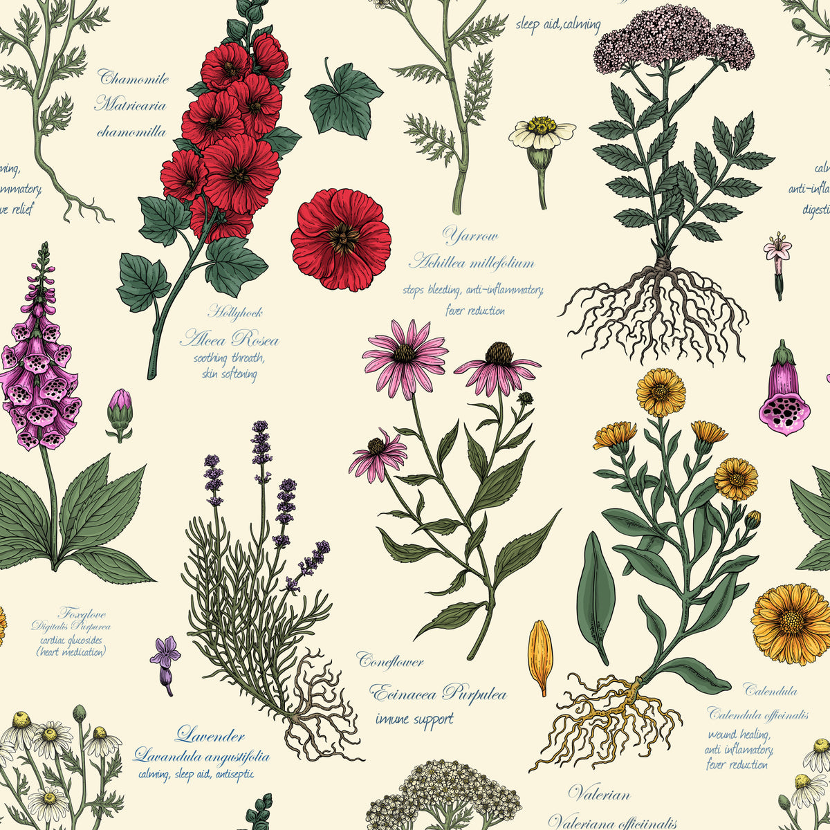 Vintage Botanical Herbarium Study Wallpaper⁠ in your room — zoomed