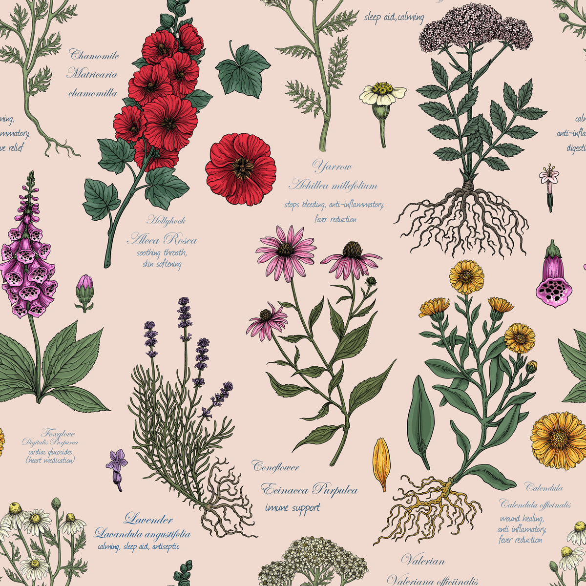 Medicinal Wildflower Garden Study Wallpaper⁠ in your room — zoomed