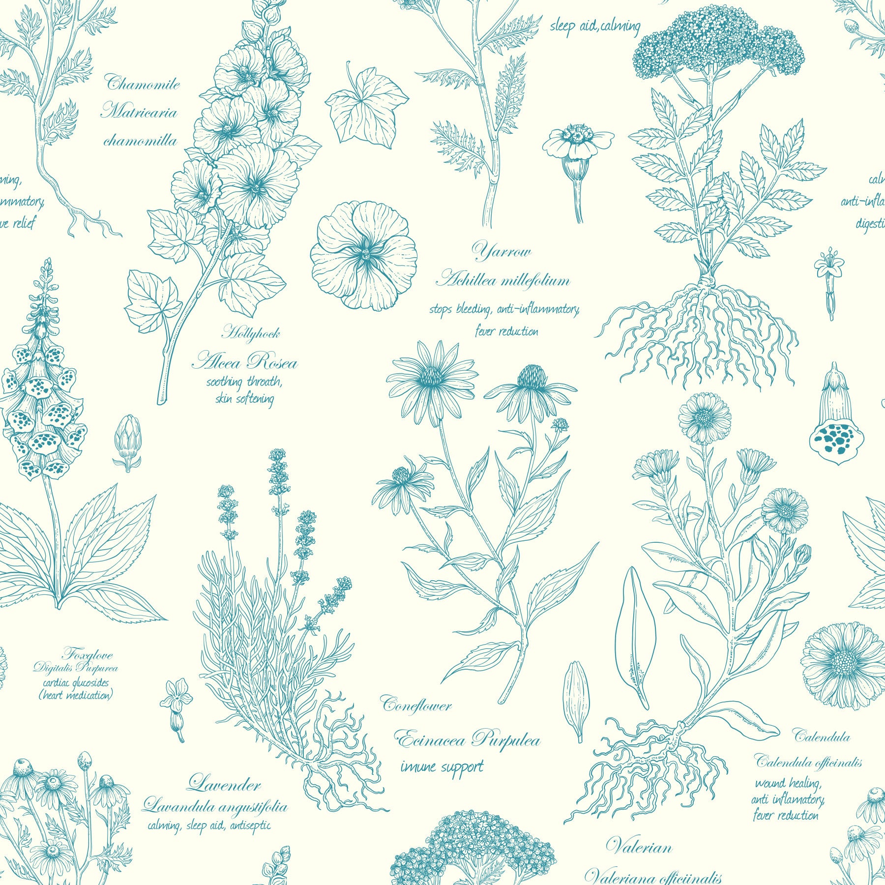 Botanical Sketch Herbarium Illustration Wallpaper⁠