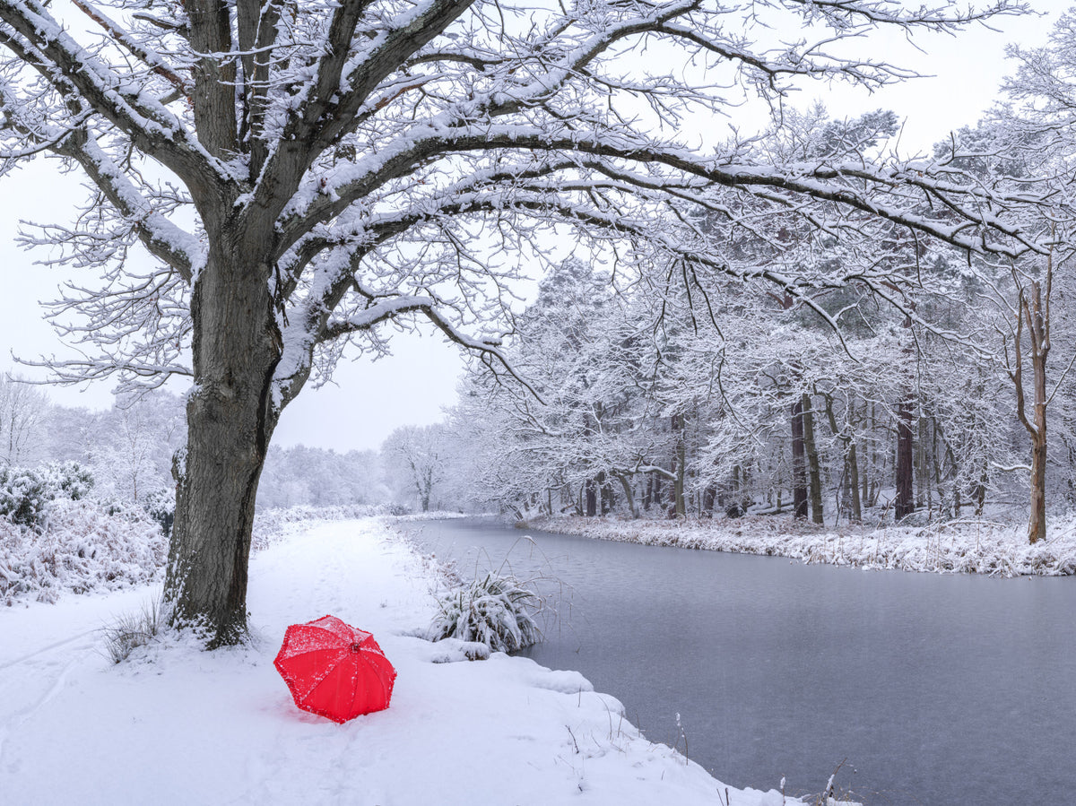 Frozen Canal Winter Woodland Wall Mural in your room