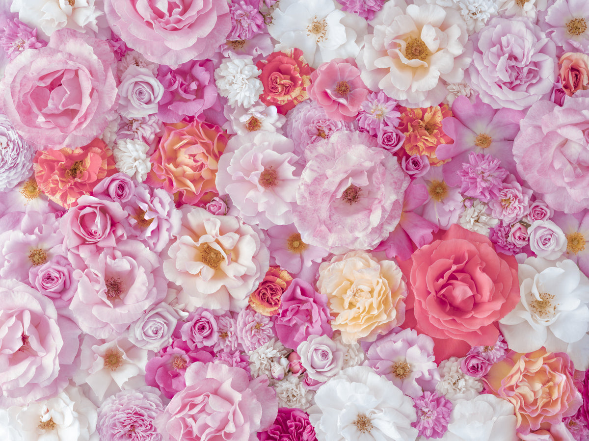 Summer Garden Petal Symphony Wall Mural in your room