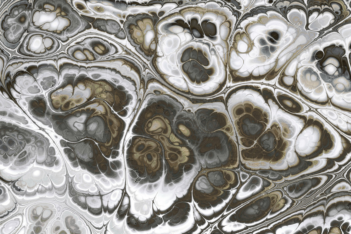Abstract Gray Marble Texture Elegance Wall Mural in your room — zoomed