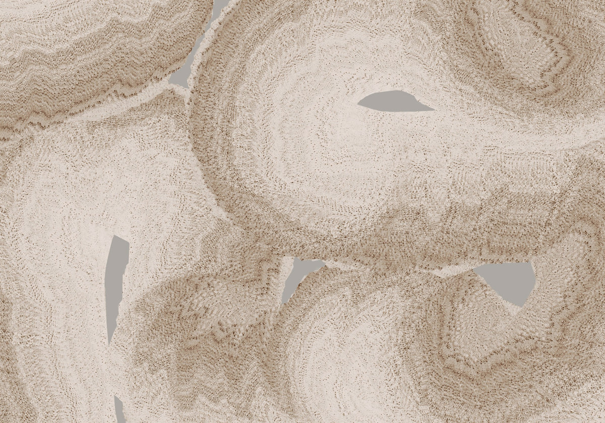 Organic Earth Tones Abstract Wall Mural in your room
