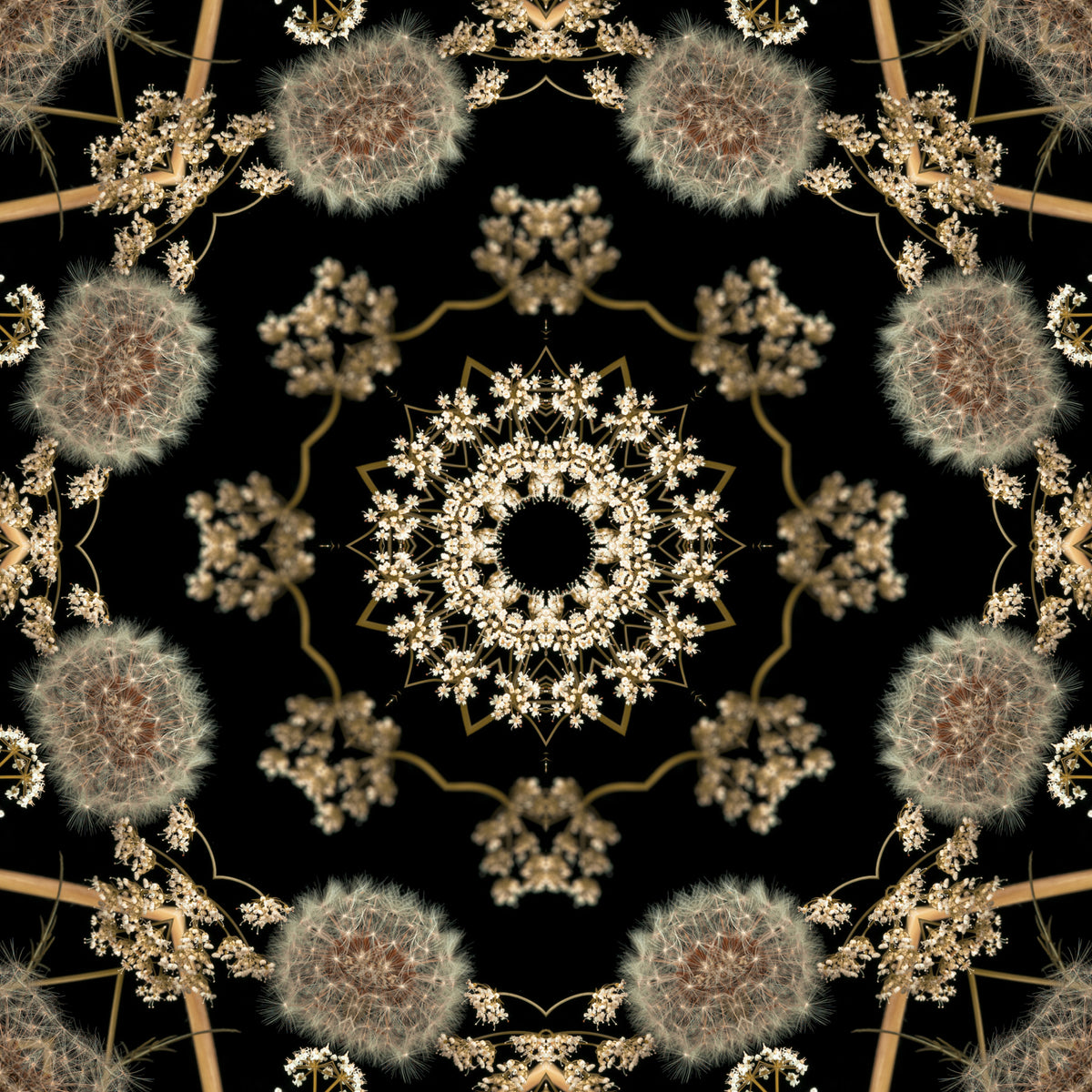 Midnight Meadow Radial Flora Wallpaper⁠ in your room — zoomed