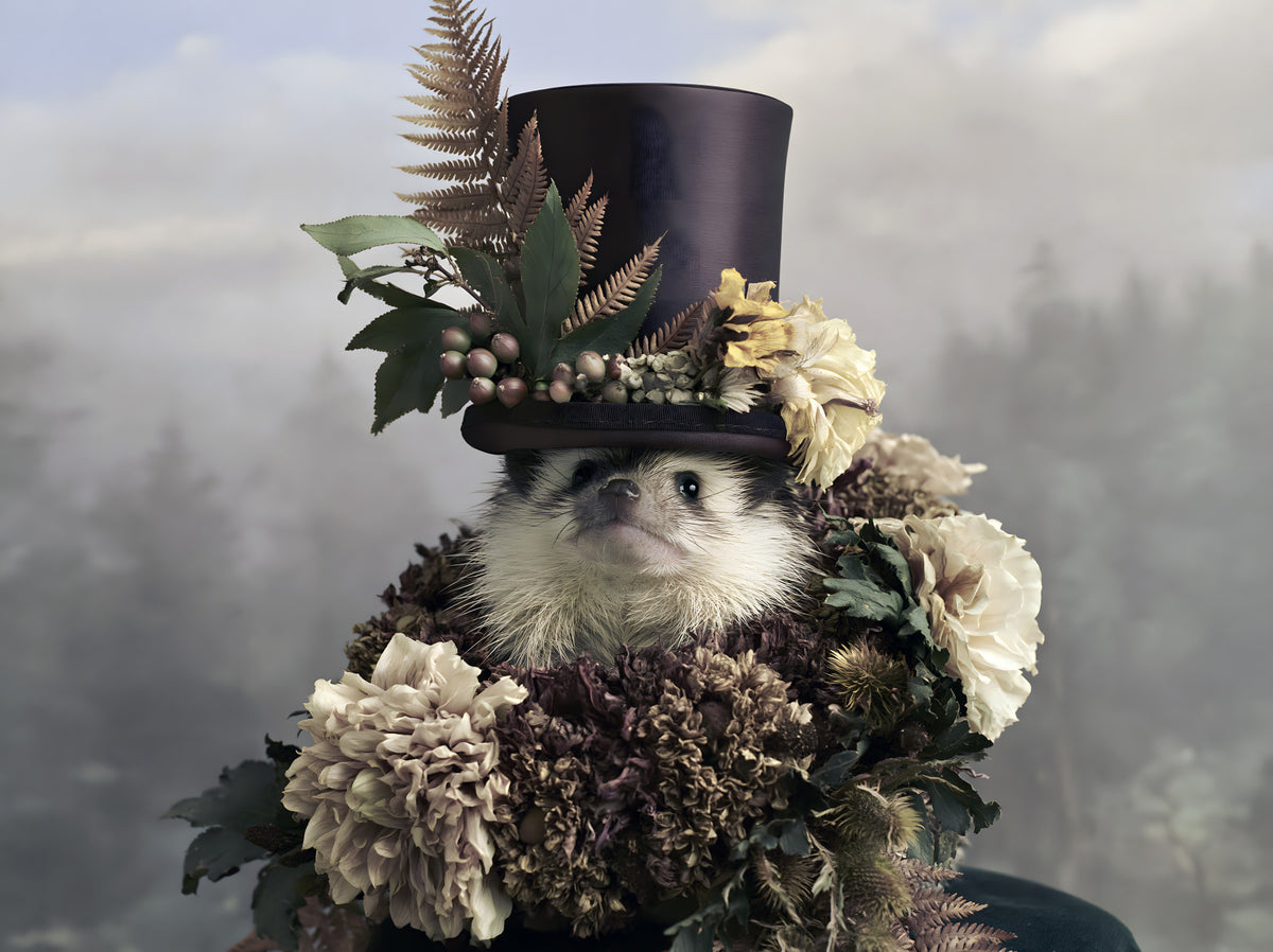 Hedgehog in Botanical Top Hat Wall Mural in your room