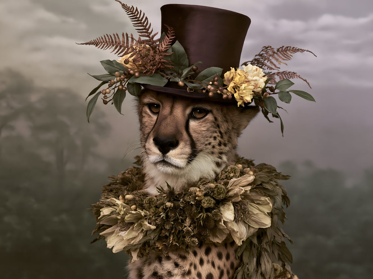 Cheetah in Top Hat with Floral Crown Wall Mural in your room