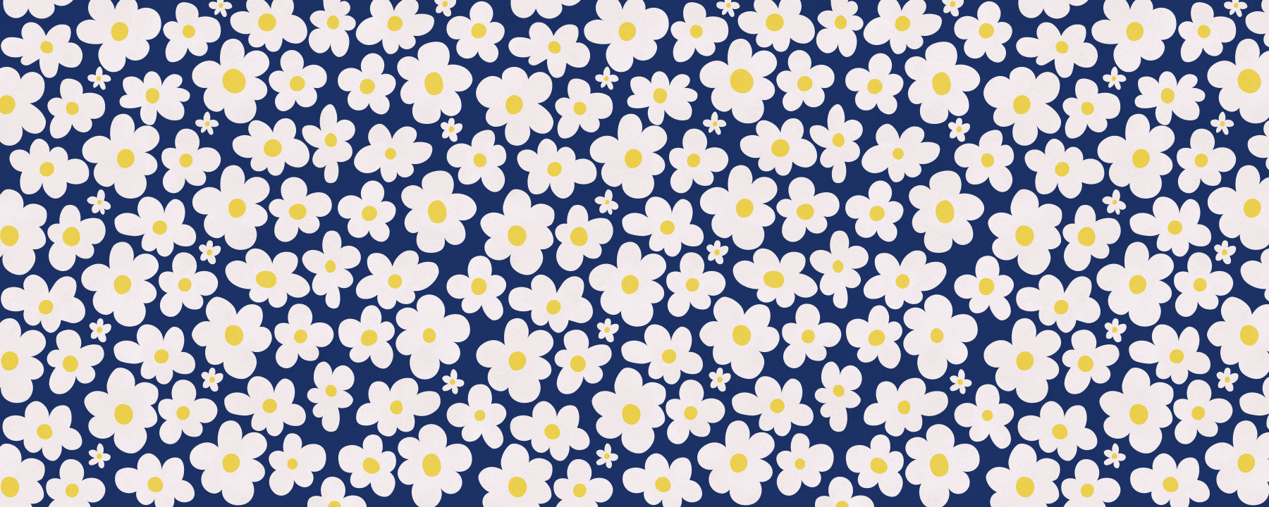 Midnight Daisy Field Pattern Wall Mural