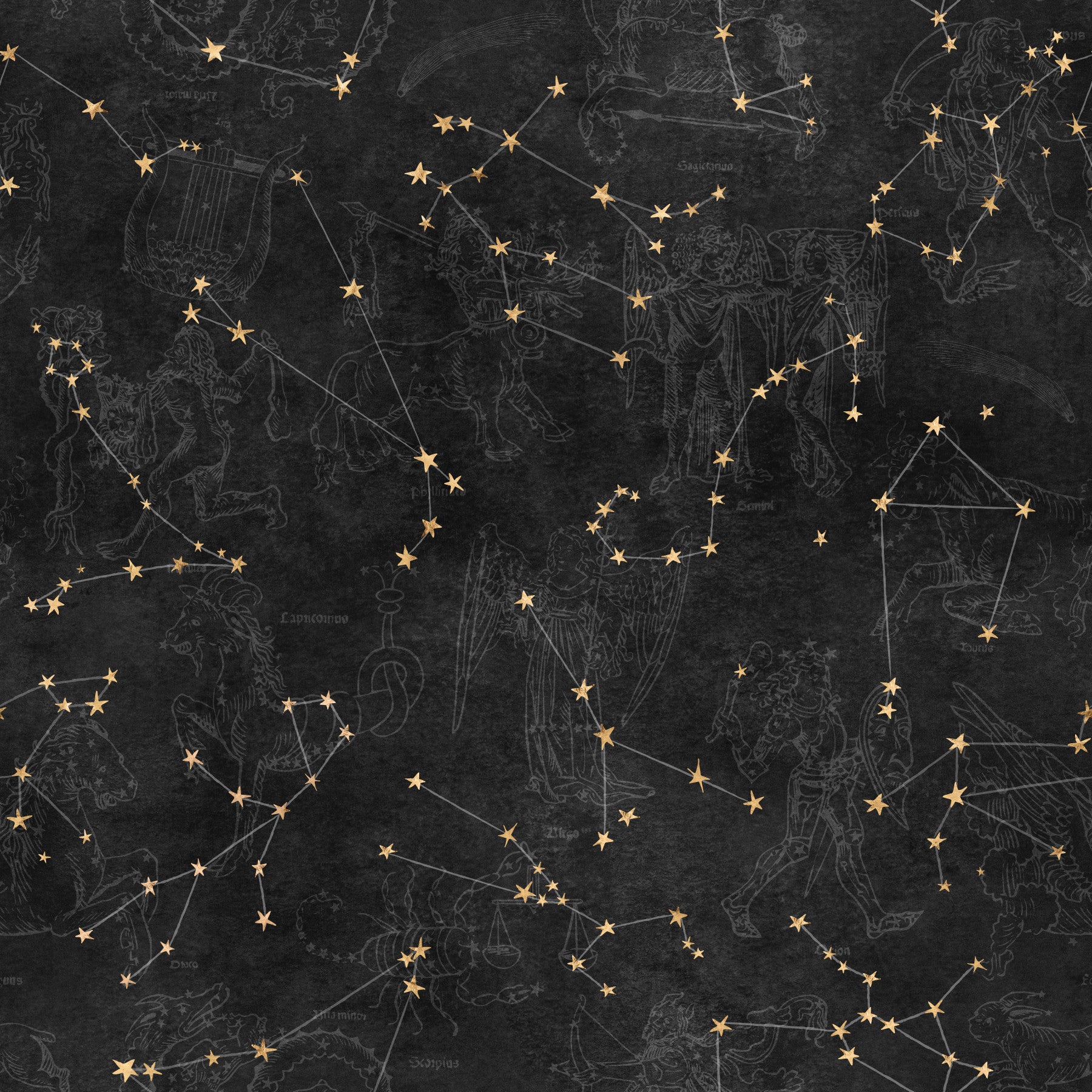 Eternal Star Atlas - Charcoal Wallpaper⁠