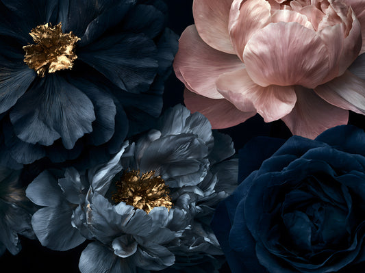 Midnight Peony Blooms with Gold Accents Wall Mural