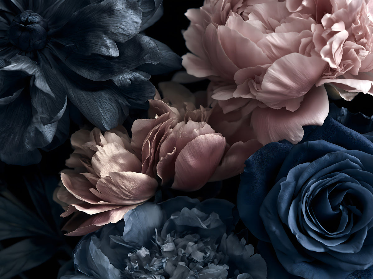 Midnight Peony and Rose Bloom Wall Mural in your room