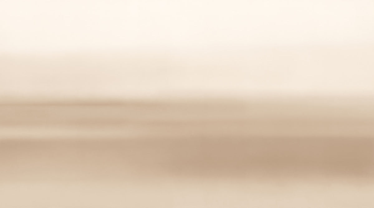 Rotko Sepia Wall Mural in your room