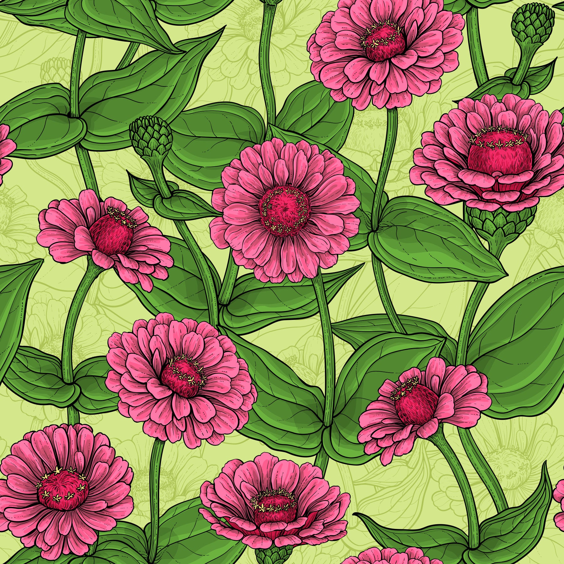 Garden Zinnia Botanical Illustration Wallpaper⁠