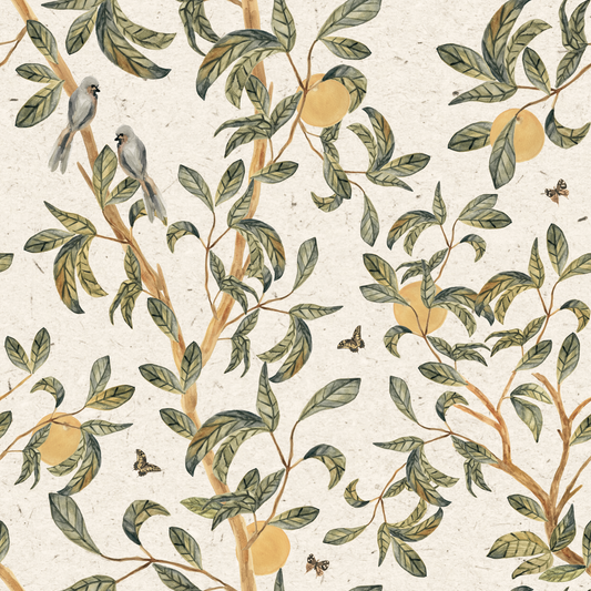 Orange Tree Wallpaper⁠